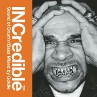 Goldie - INCredible Sound of Drum 'N' Bass