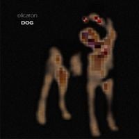 Olicaron - DOG