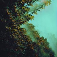 POLYMOON - Caterpillars of Creation