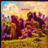 POLYMOON - Chrysalis