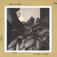 rum.gold - Water my heart
