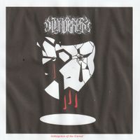Wanderer - Indulgence of the Unreal
