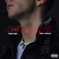 Tony Boy - Piumini