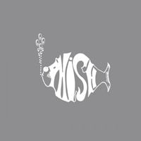 Phish - Phish