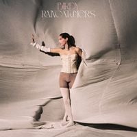 Birdy - Raincatchers