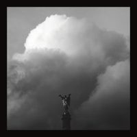 Bad Pelicans - Eternal Life Now