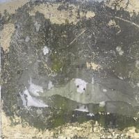 The Telescopes - Experimental Health