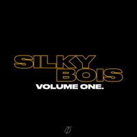 SILKYBOIS - VOLUME ONE