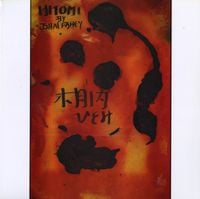 John Fahey - Hitomi