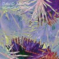David Arcos - Sigamos corriendo