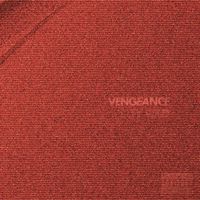 Ty Wild - Vengence