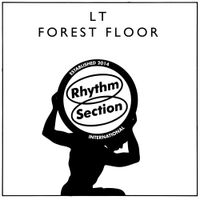 LT - Forest Floor