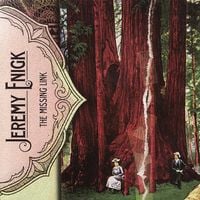 Jeremy Enigk - The Missing Link