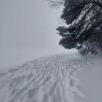 1oneam - winter II
