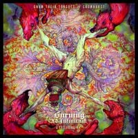 Gnaw Their Tongues & Crowhurst - Burning Ad Infinitum