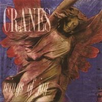 Cranes - Wings of Joy