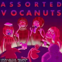 Steampianist - Assorted Vocanuts