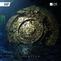Camo & Krooked & Mefjus - Sientelo