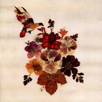 Lone Pigeon - Concubine Rice