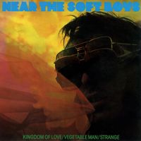 The Soft Boys - Near The Soft Boys
