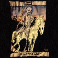 Asinine - XIII