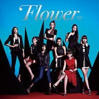 Flower - Flower