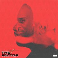 Wildelux - The IT Factor
