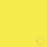 NohpetS - Sponge