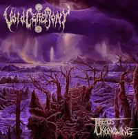 VoidCeremony - Writhing in the Facade of Time