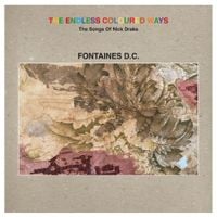 Fontaines D.C. - 'Cello Song