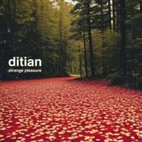 Ditian - Strange Pleasure EP