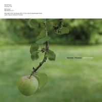 Ozmotic | Fennesz - Senzatempo