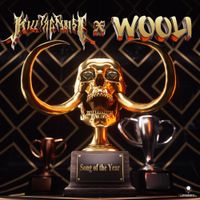 Kill The Noise & Wooli - Song Of The Year