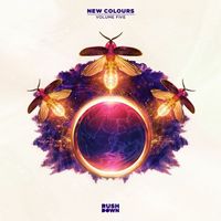 Various Artists - New Colours Vol. 5