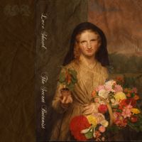 Lace Shawl - The Secret Botanist
