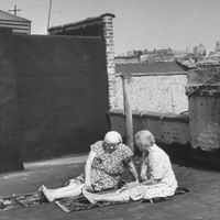 Orangy - sleeping on the roof