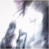 Kraus - anything else