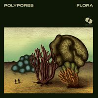 Polypores - Flora