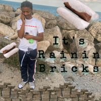 Certified Trapper - Its Rainin' Bricks