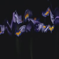 Optometry - After-Image