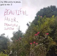 my little pony is jesus, god is me :3 - Beautiful Hair, Beautiful Suicide
