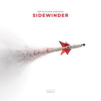 Camo & Krooked & Mefjus - Sidewinder