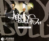Audio Bullys - Way Too Long