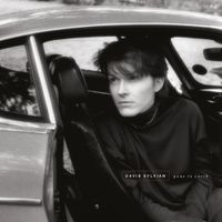 David Sylvian - Gone To Earth (Remastered 2003)