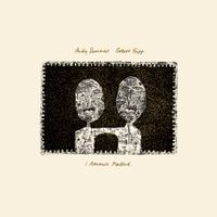 Andy Summers - I Advance Masked
