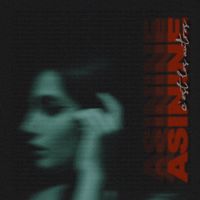 Asinine - C'est les autres