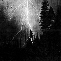 Lubbert Das - Deluge