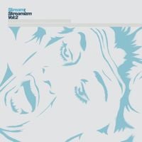 Skream - Skreamizm Vol. 2