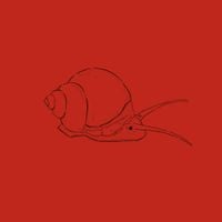 Jamurai Sack - Snail