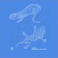 Otodojo - Amphibious​/​Aural Spirits